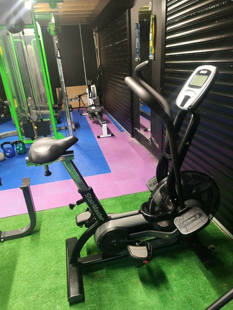 Air assault bike - Image 2