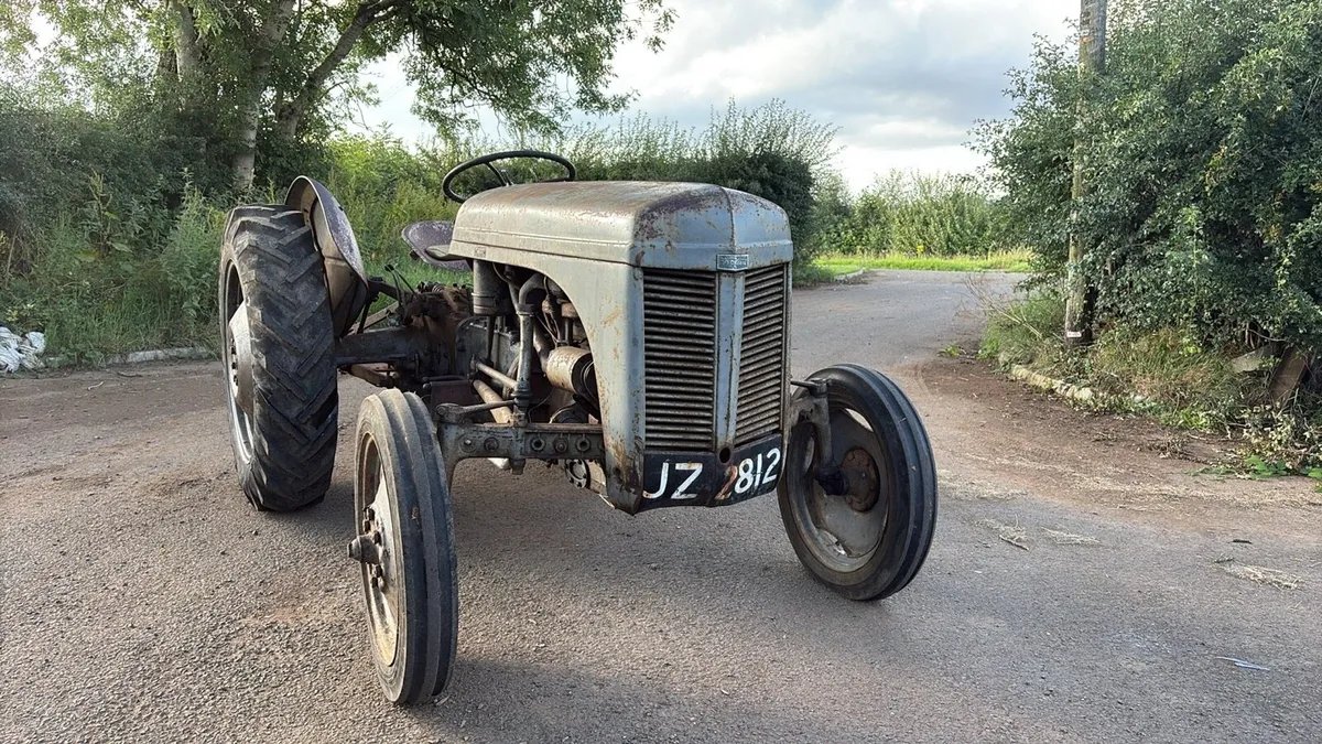 Ferguson Implements - Image 1