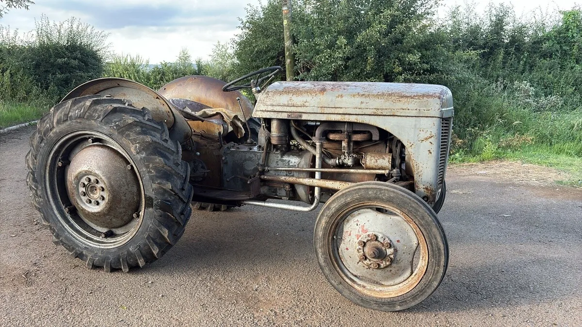 Ferguson Petrol - Image 2