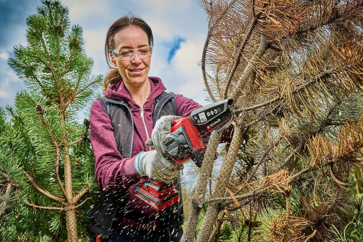 18V Cordless Pruning Saw Power X-Change 12.5cm - Image 3