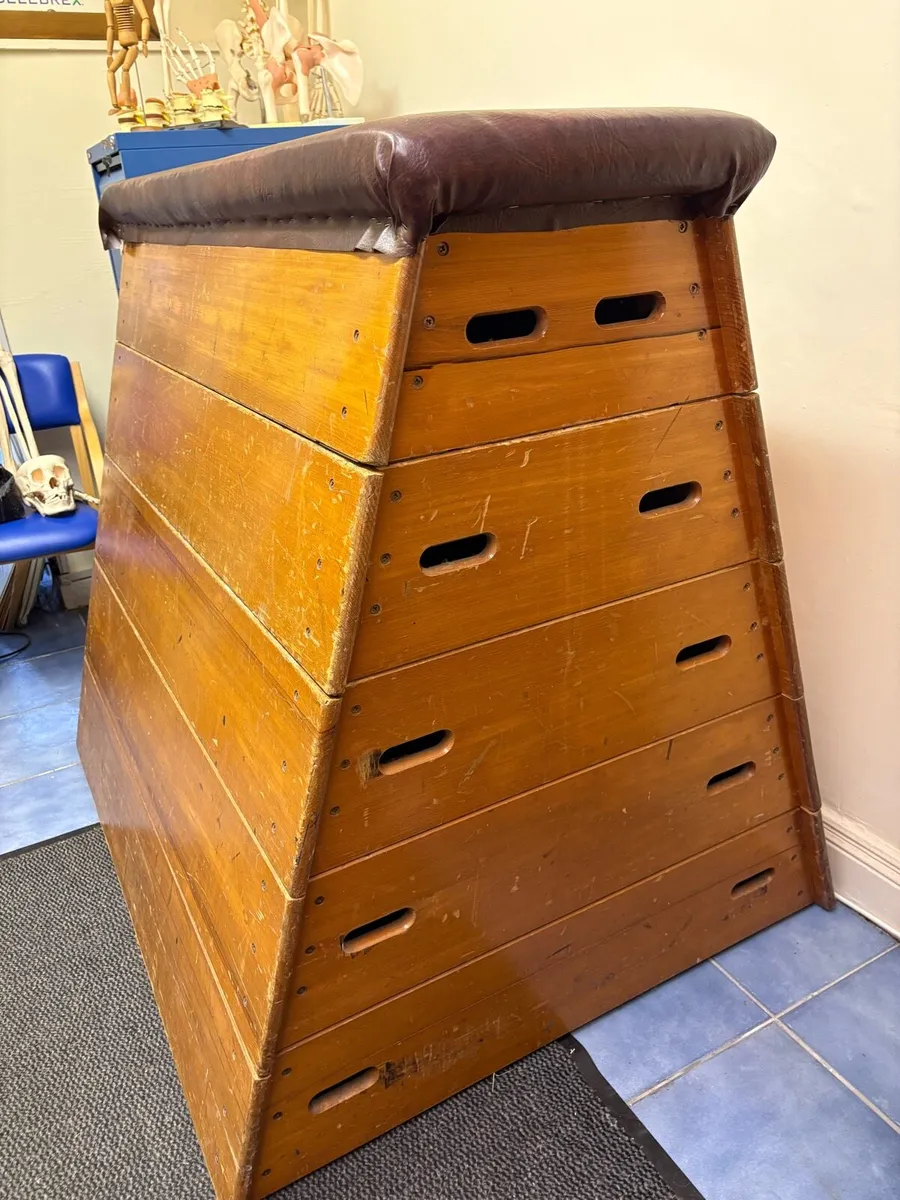 Pommel Horse - Image 1