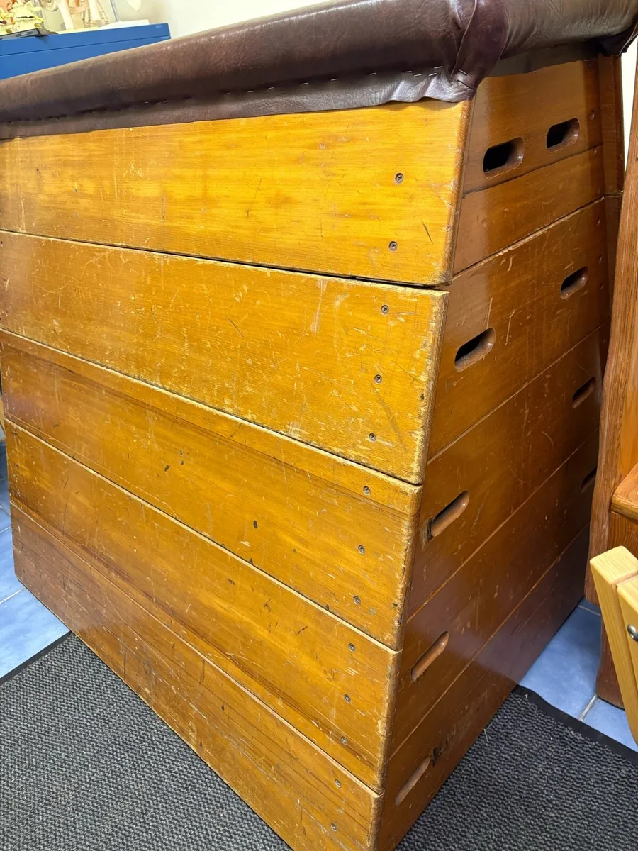 Pommel Horse - Image 2