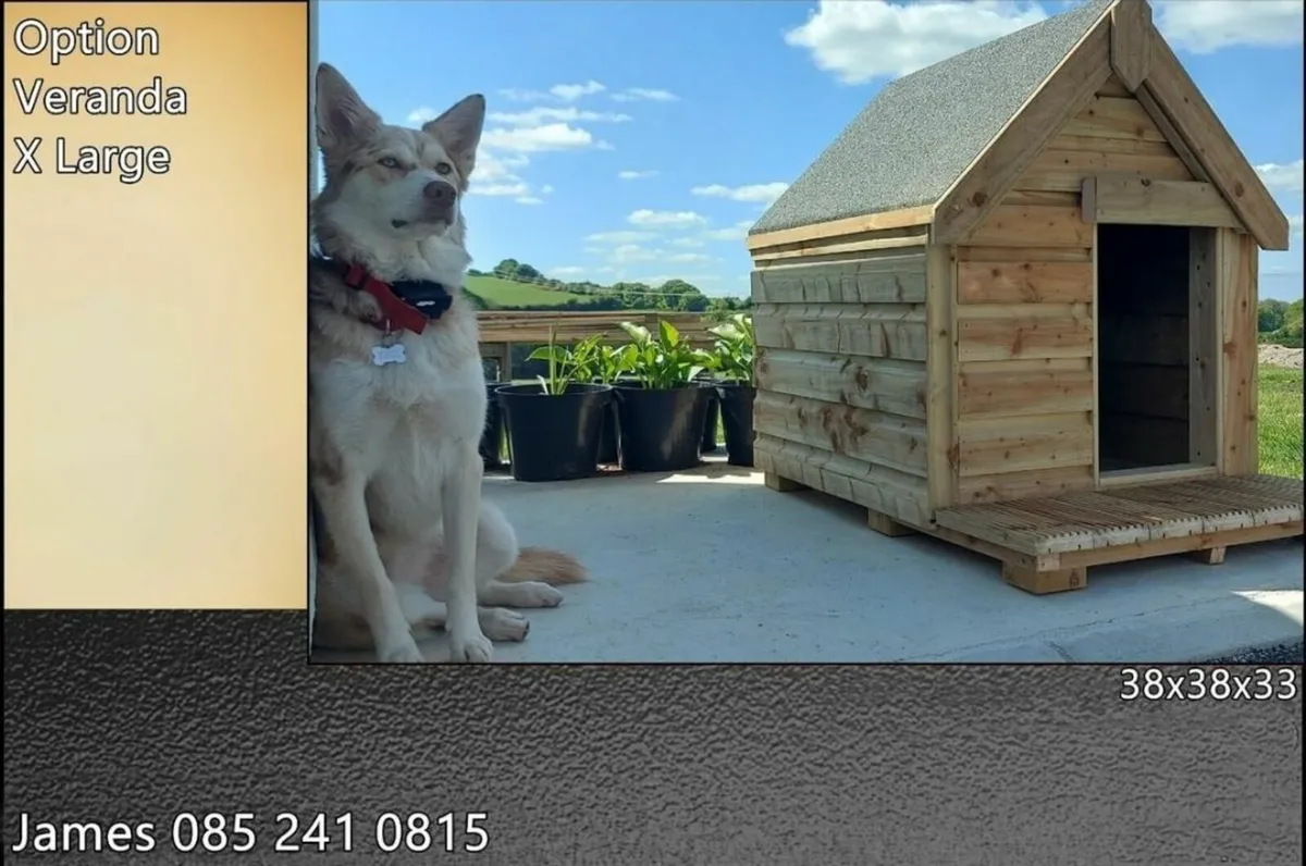 Dog Boxes A Roof - Image 1