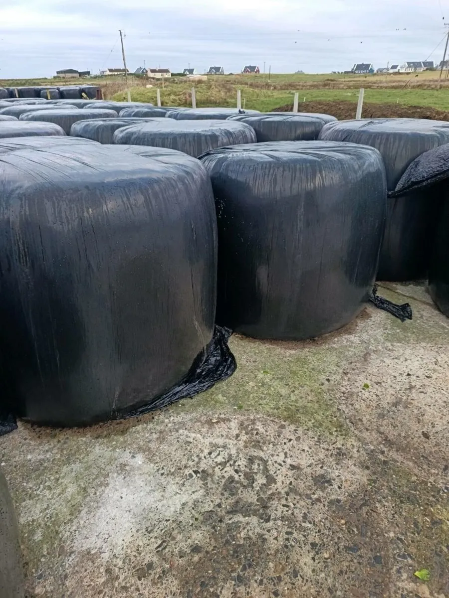 Silage bales
