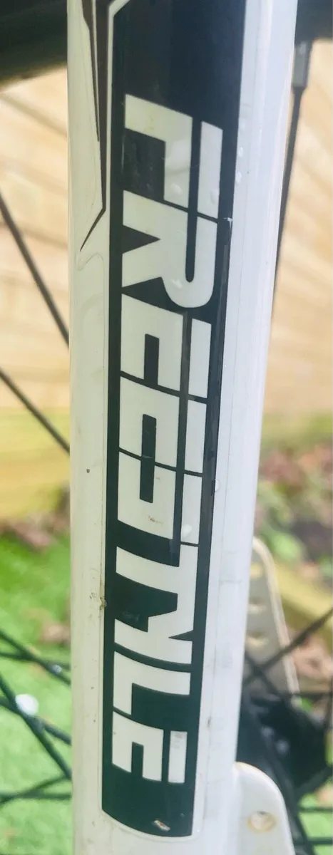 BMX freestyle - Image 3