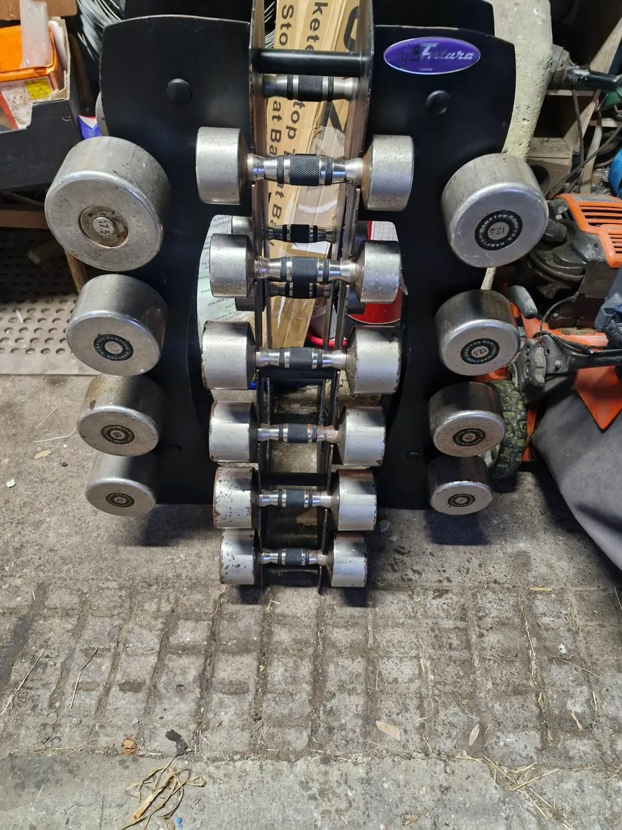 Gym weights - Image 1
