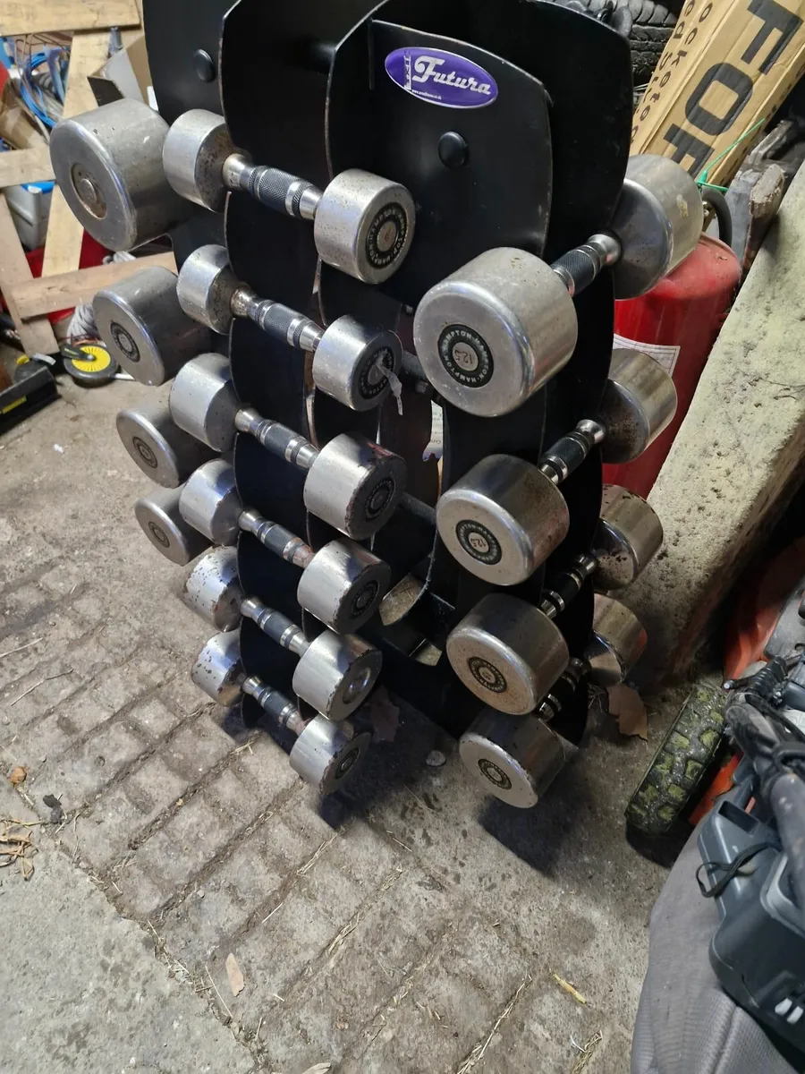 Gym weights - Image 2