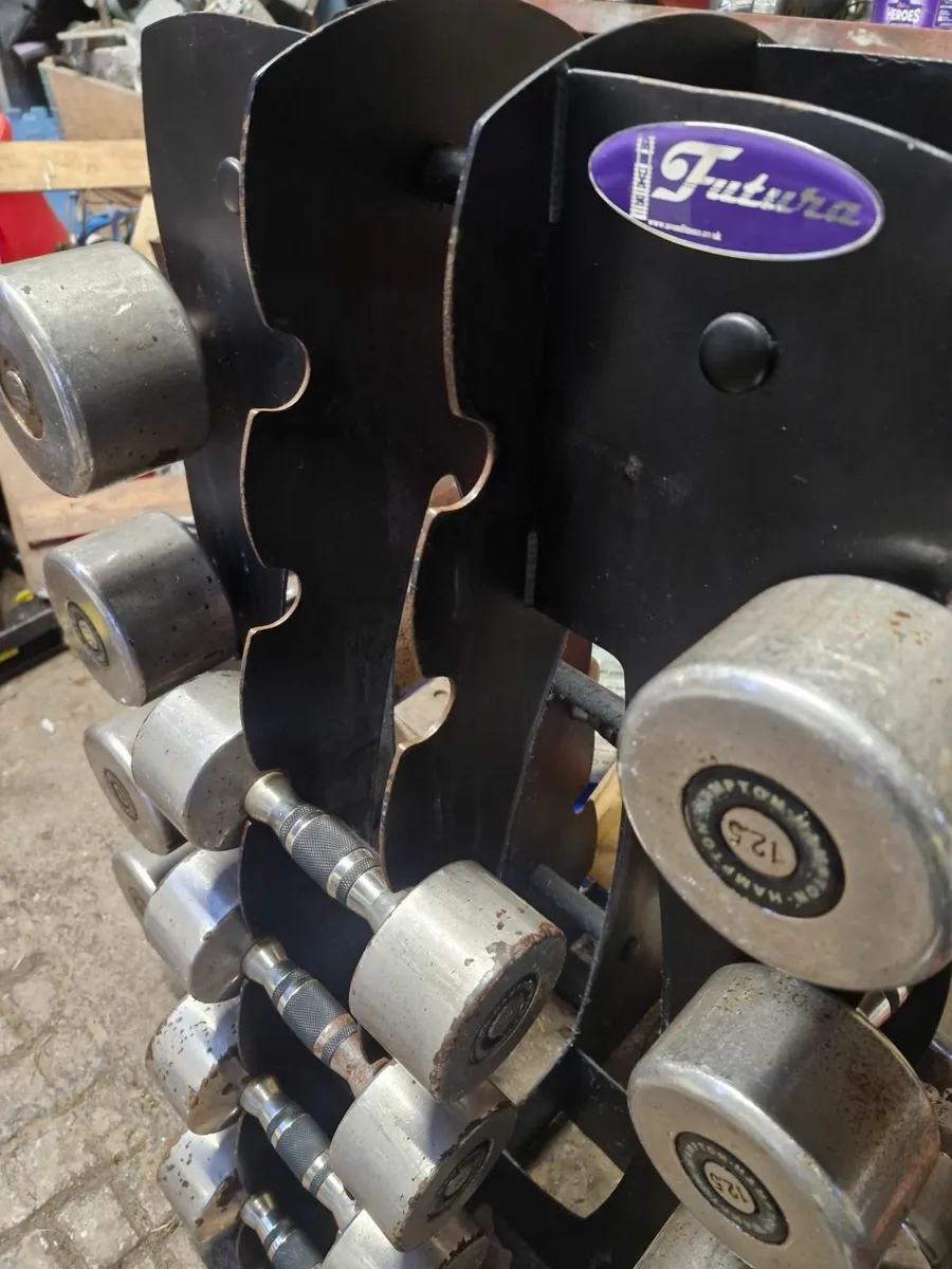 Gym weights - Image 3