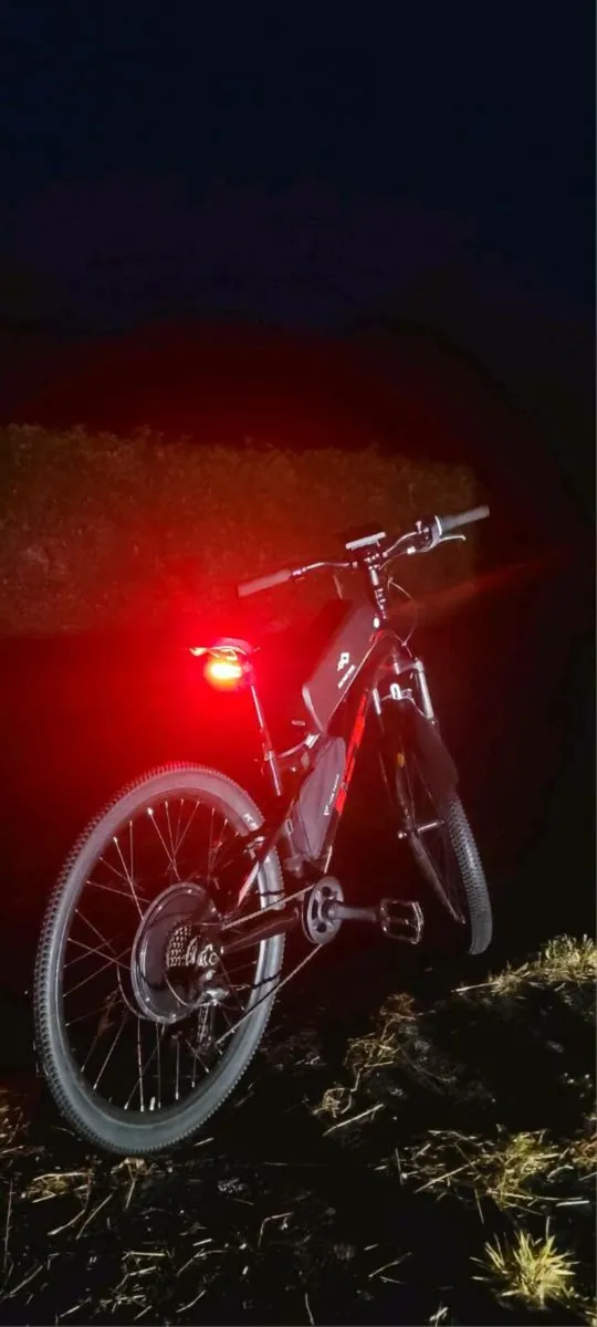 Electric Bike 1000W Motor battery not included - Image 1