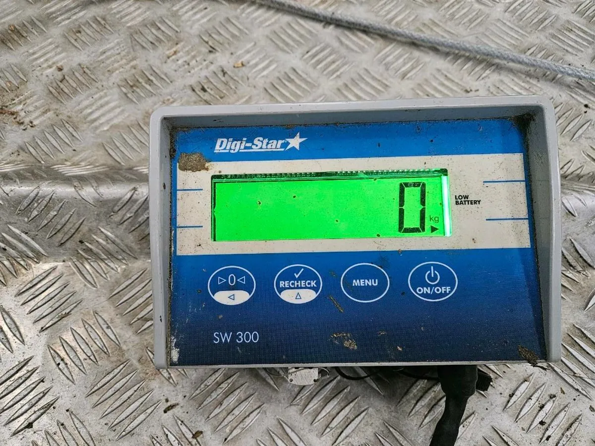 O Neill's Cattle weighing scales - Image 2