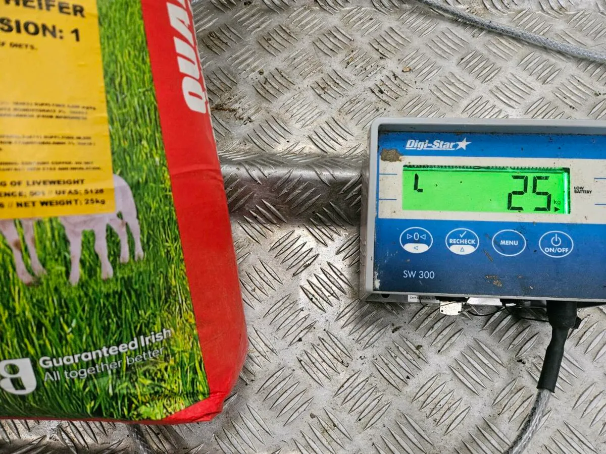 O Neill's Cattle weighing scales - Image 3