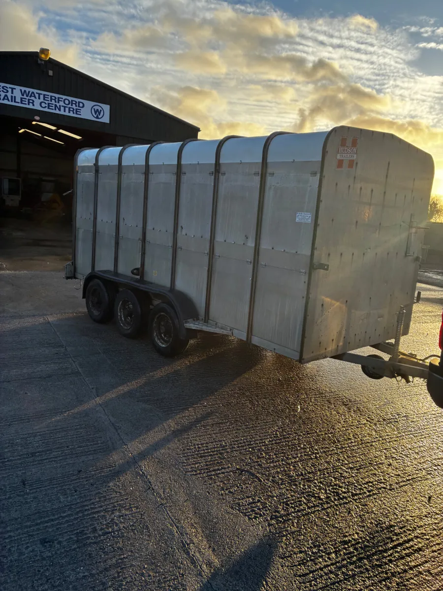 14ft Hudson livestock trailer - Image 2