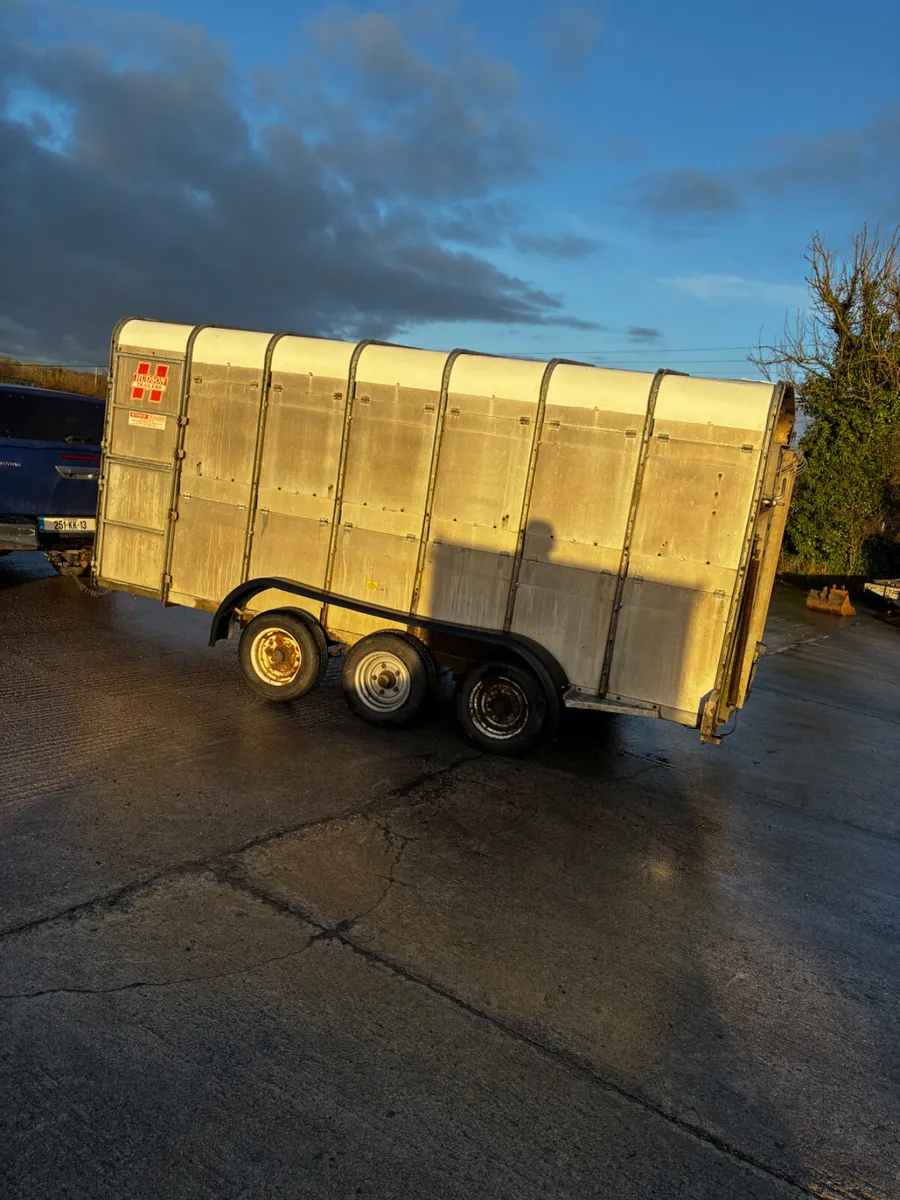 14ft Hudson livestock trailer - Image 4