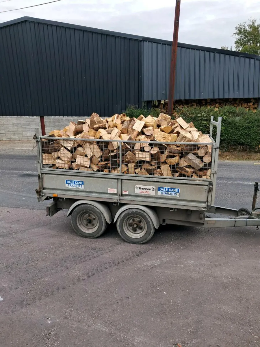 Firewood for sale hardwood softwood larch - Image 4