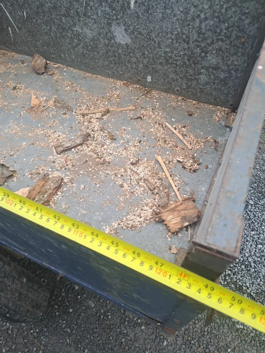 Quad/Garden  trailer - Image 3