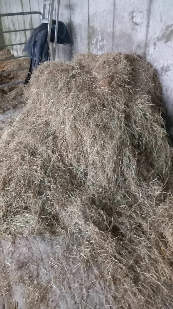 Hay bales - Image 2