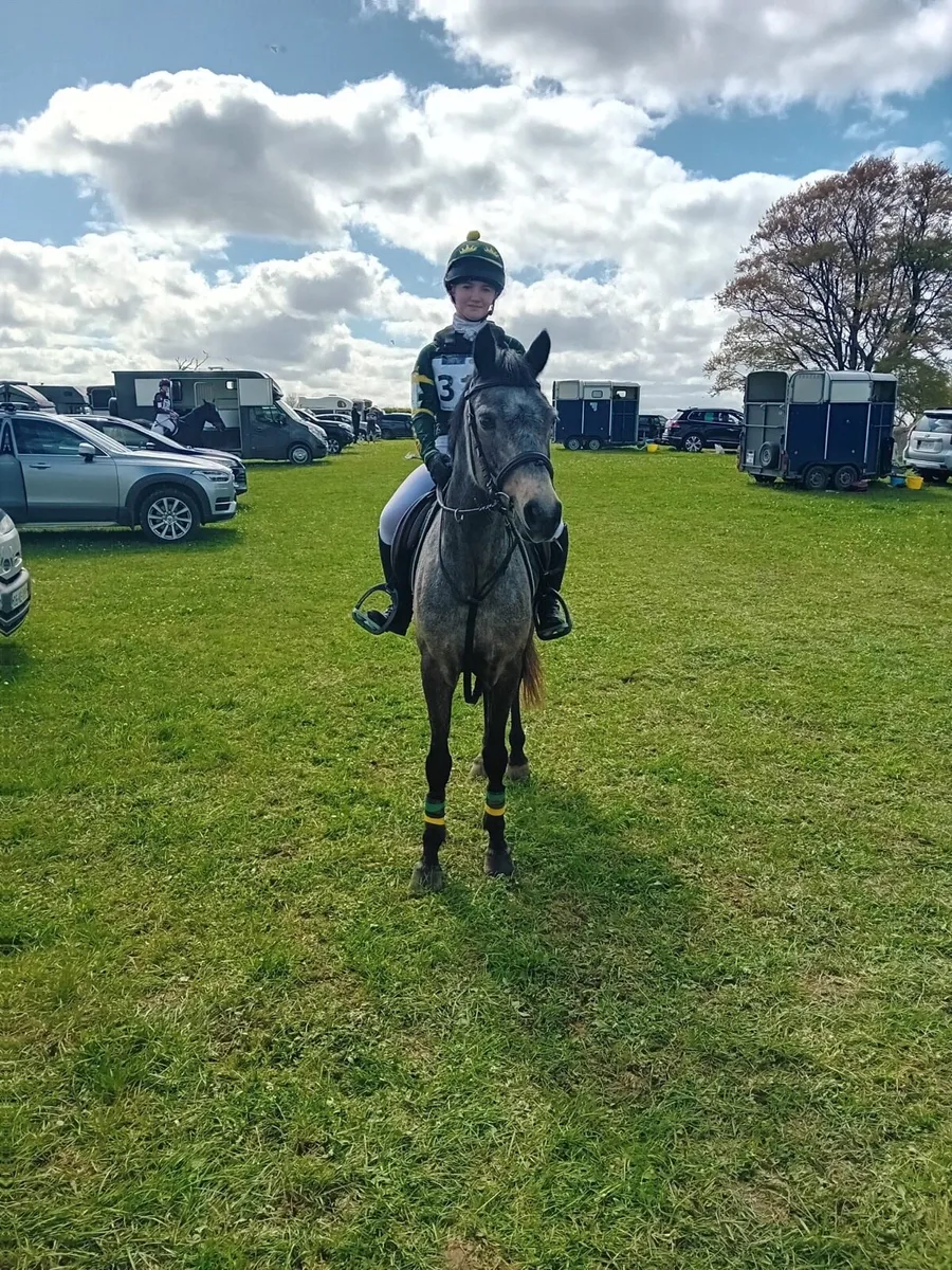 138 sji pony - Image 1