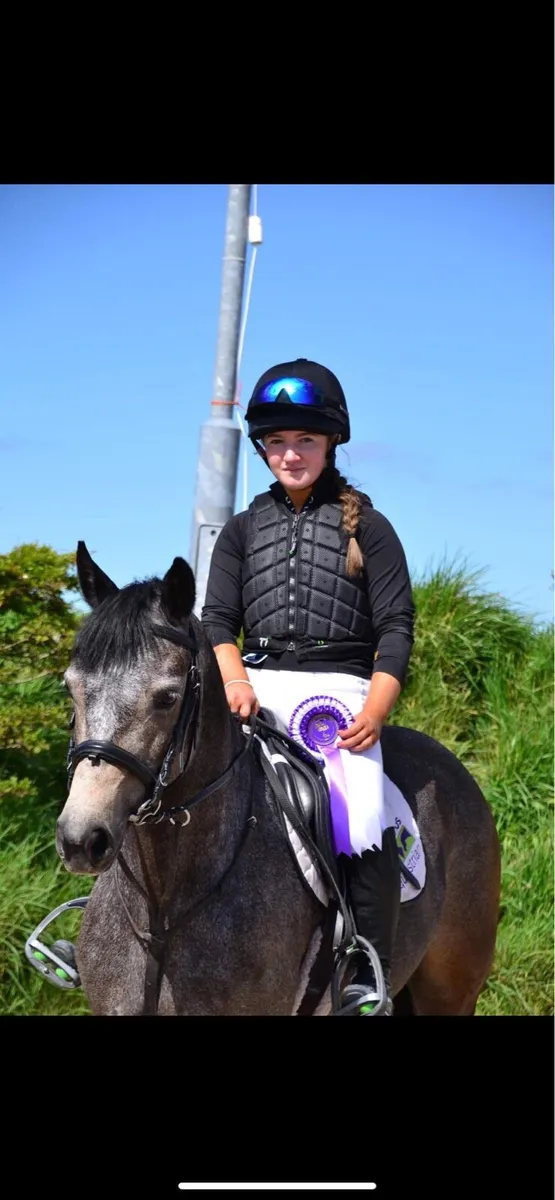 138 sji pony - Image 3