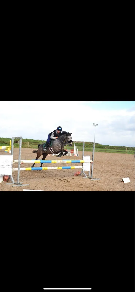 138 sji pony - Image 4