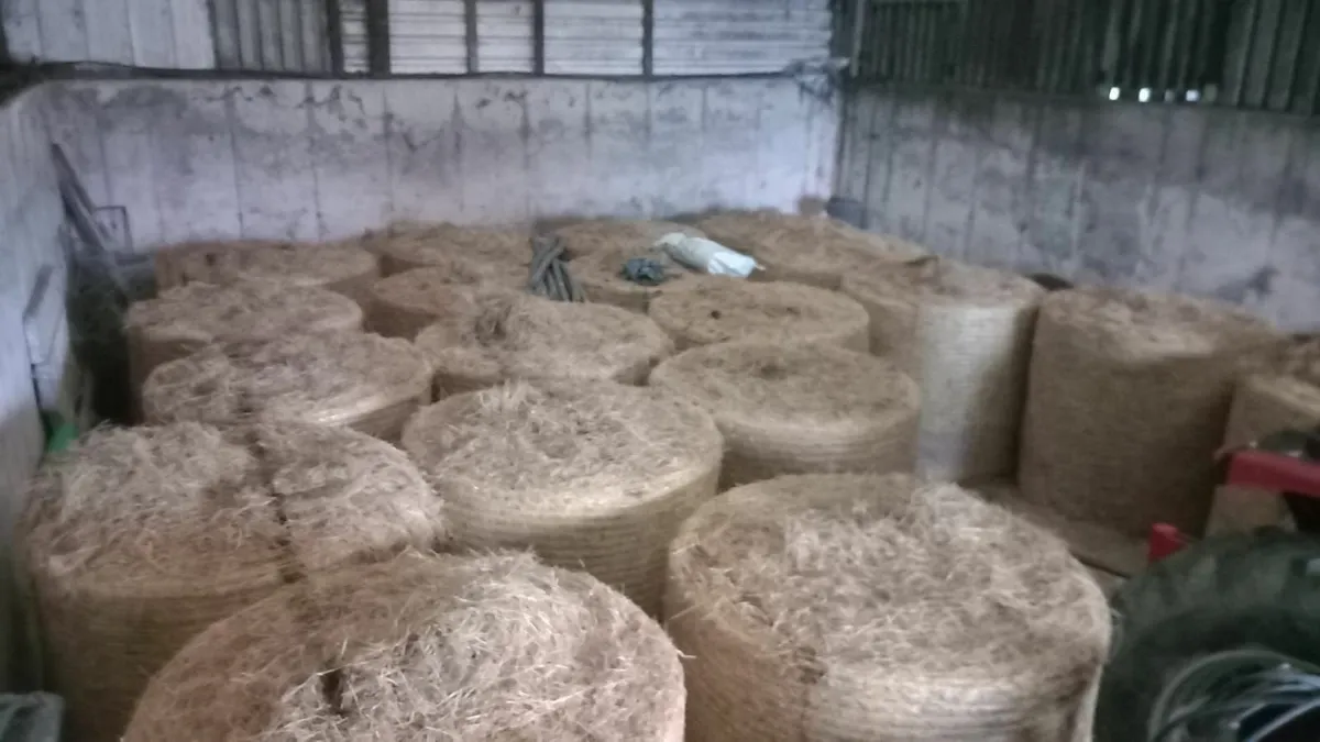 Hay bales - Image 1