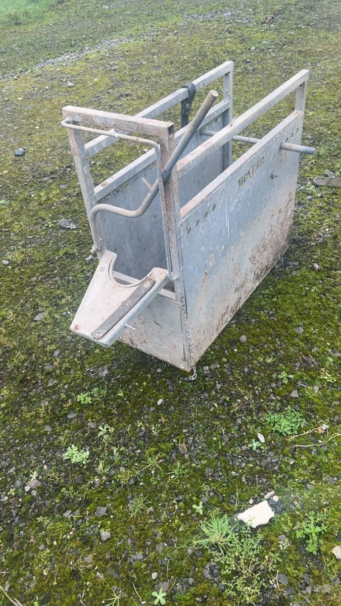 Calf crates - Image 1