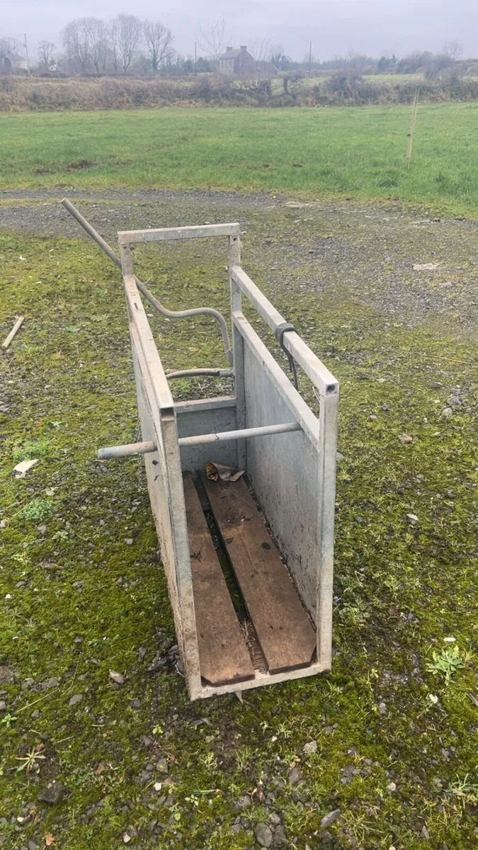 Calf crates - Image 3