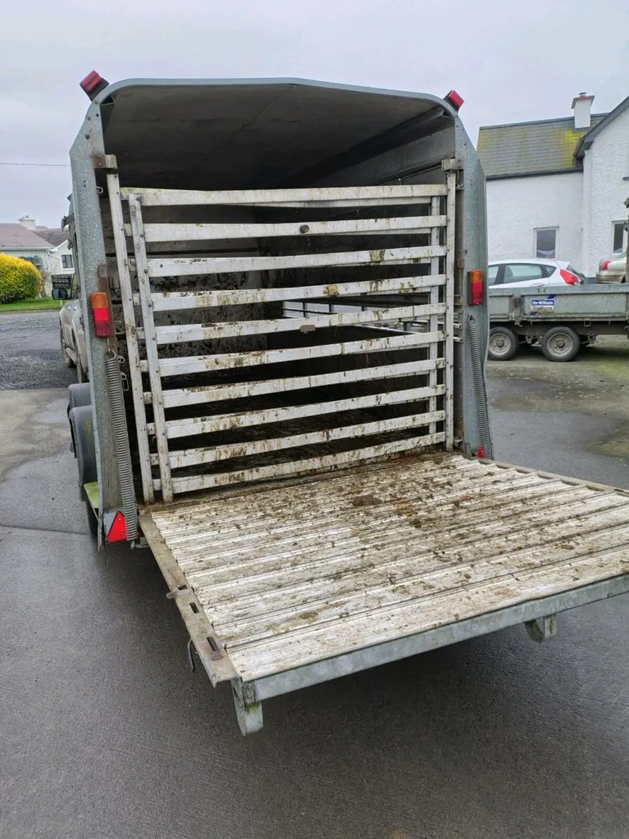 Ifor Williams Cattle trailer 12x6 - Image 3