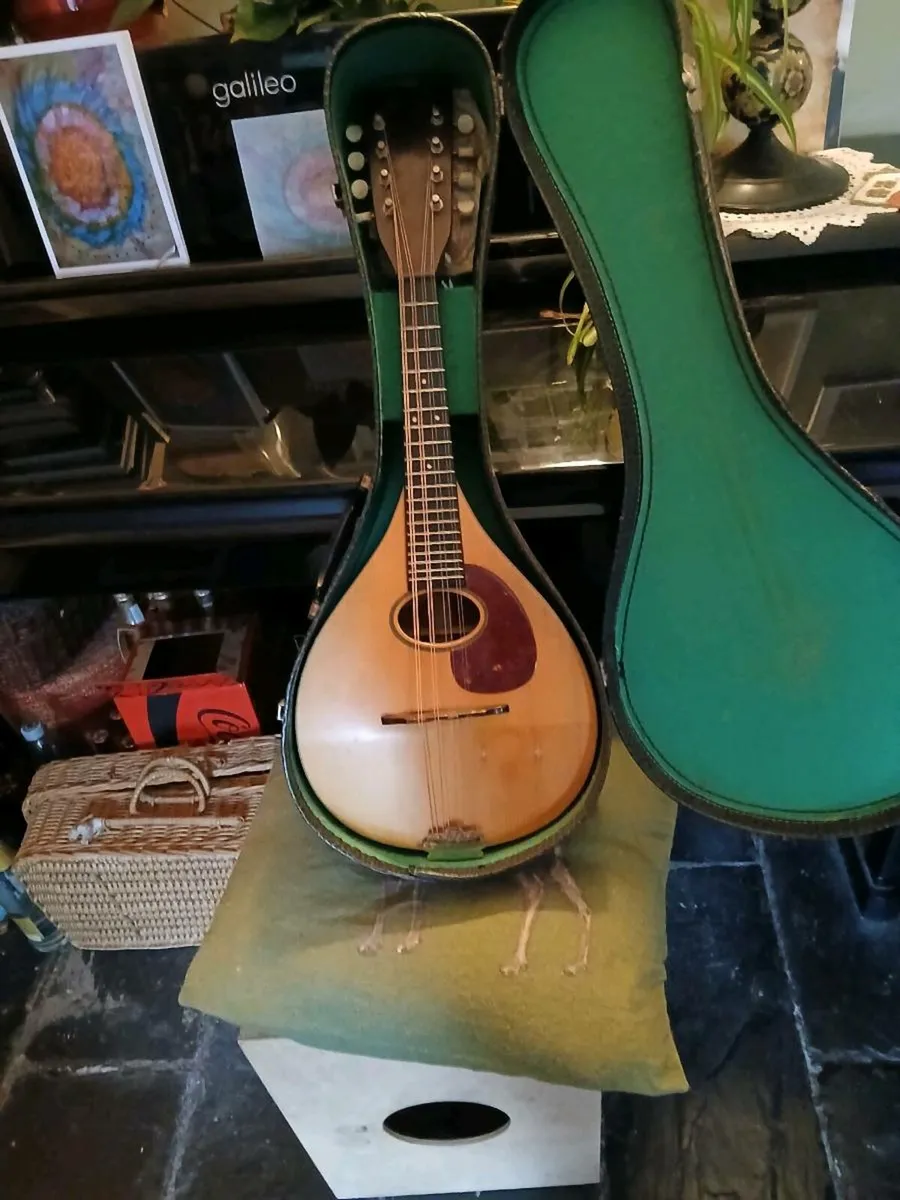 1953 martin mandolin - Image 4