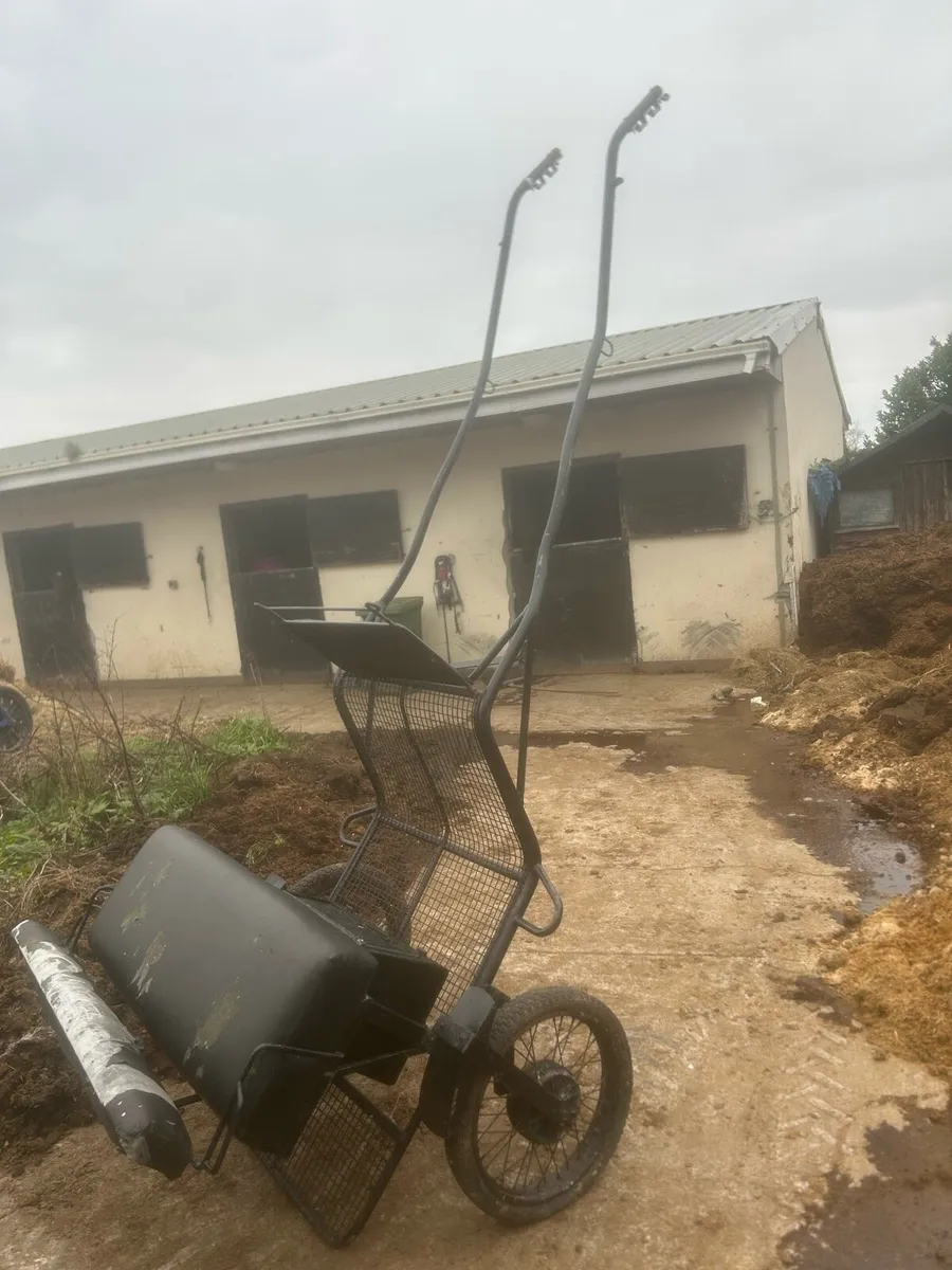 Full size Horse cart - Image 2