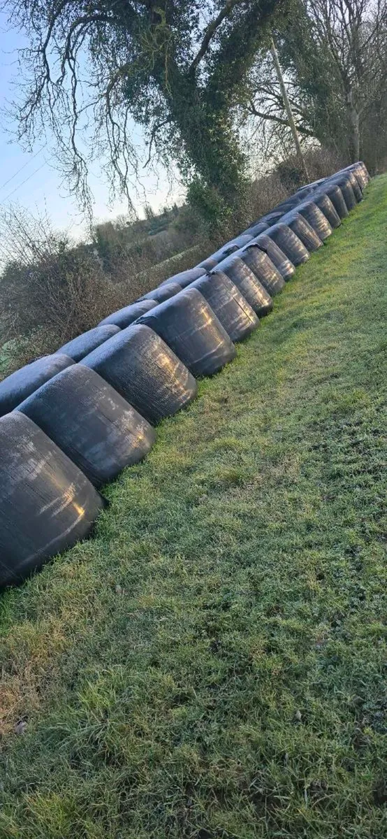 Silage bales - Image 1