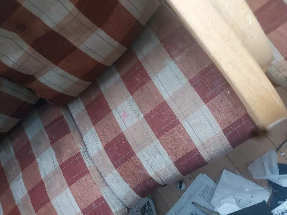 Free couch 3 + 1 seater - Image 3