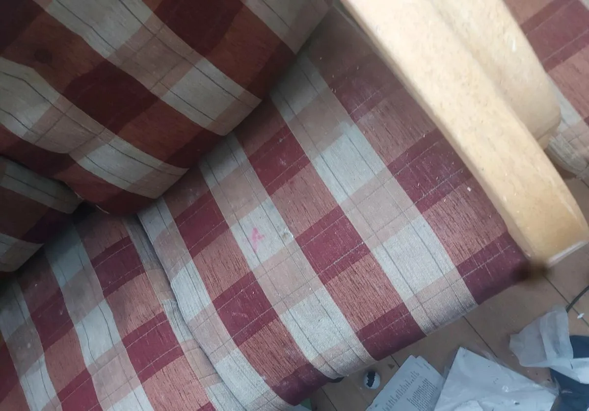 Free couch 3 + 1 seater - Image 4