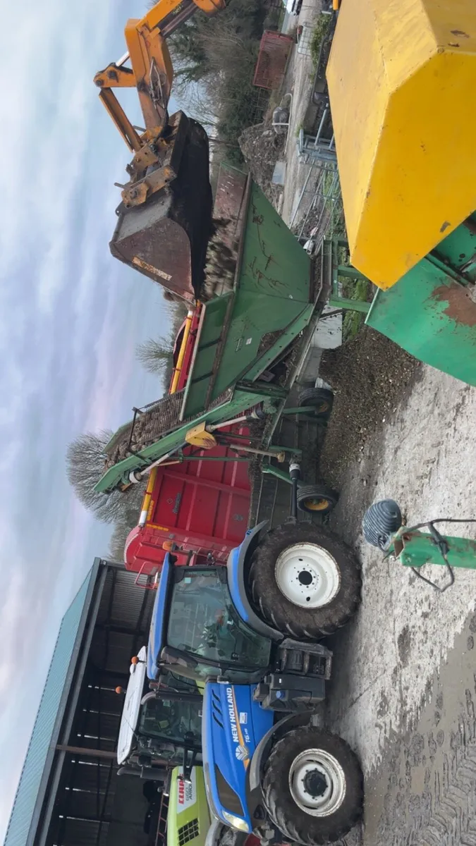 Armer pulled Magnum fodder beet - Image 2