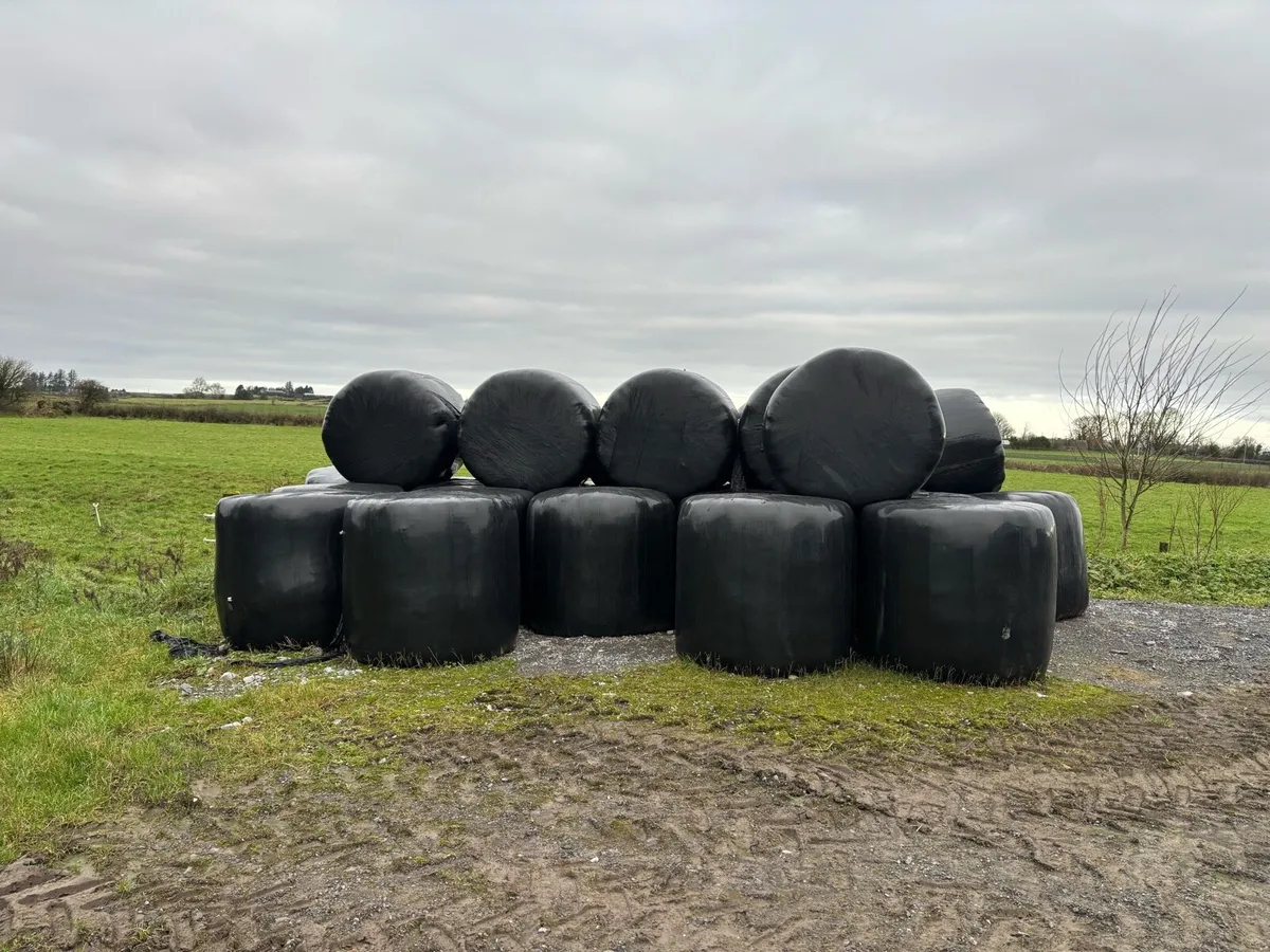 Silage Bales