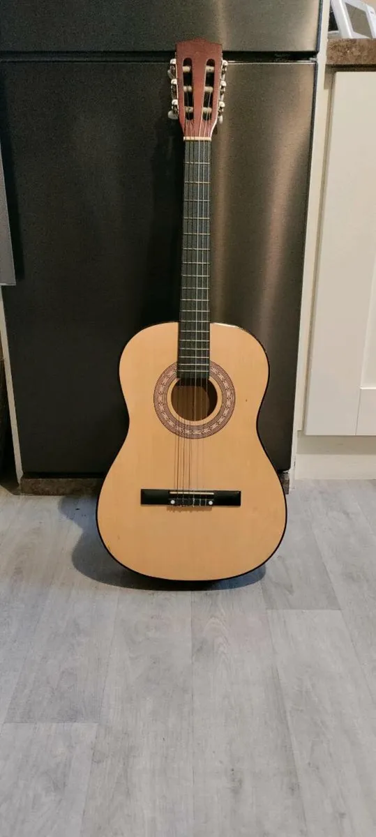 Acoustic Guitar