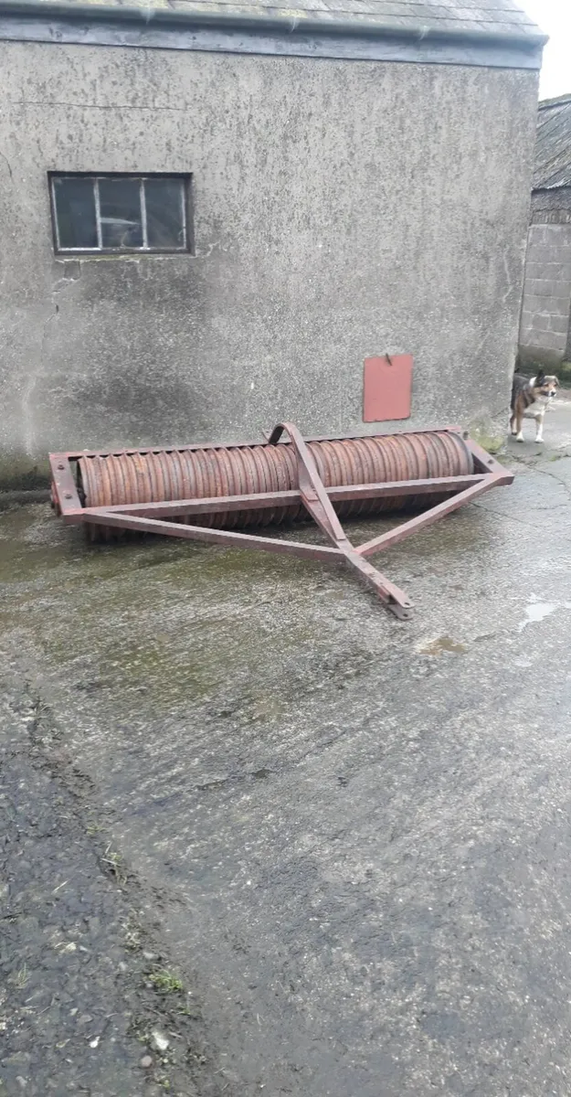 Cambridge roller - Image 1