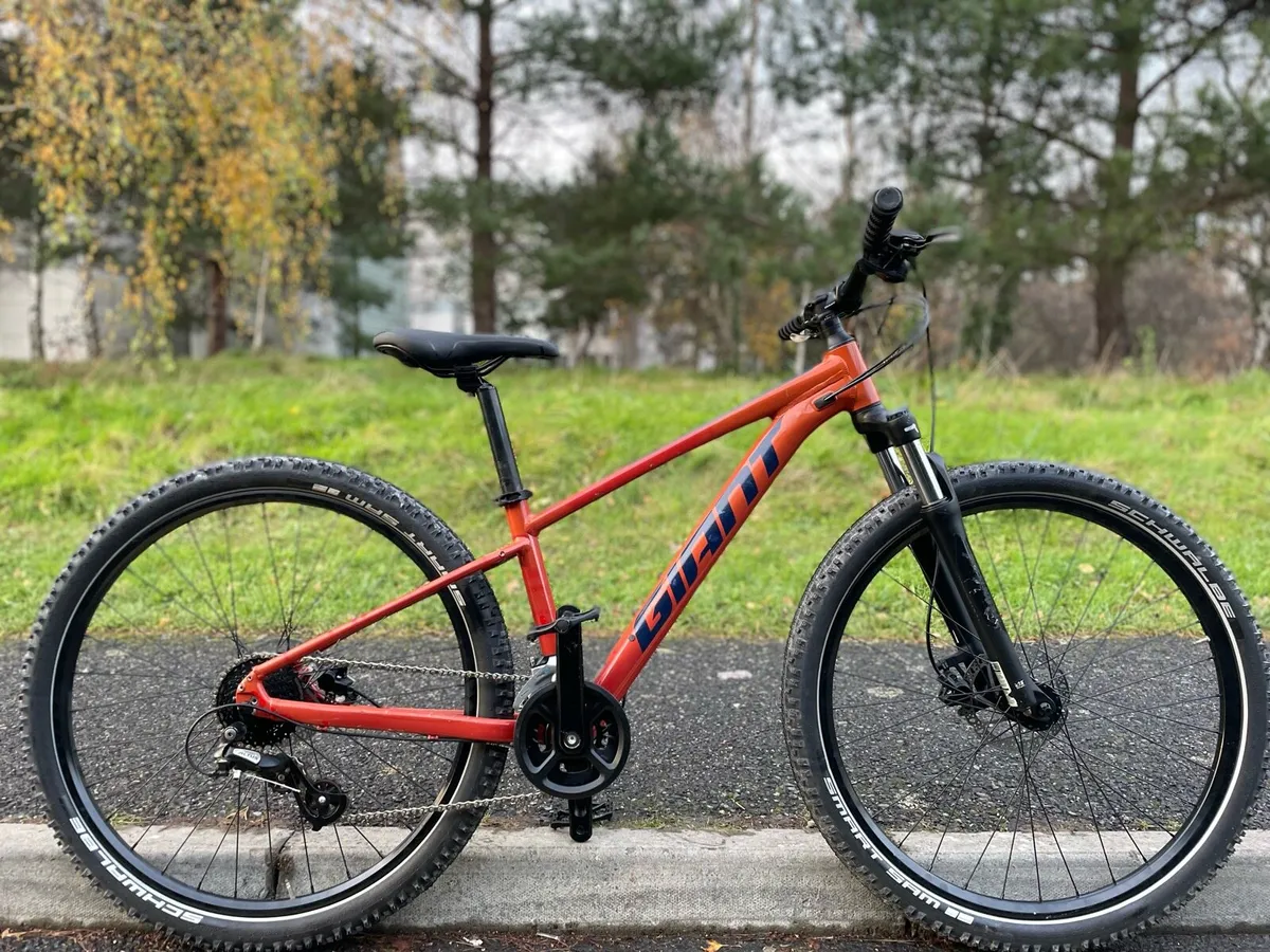 Mountain Bike (small) - Image 1