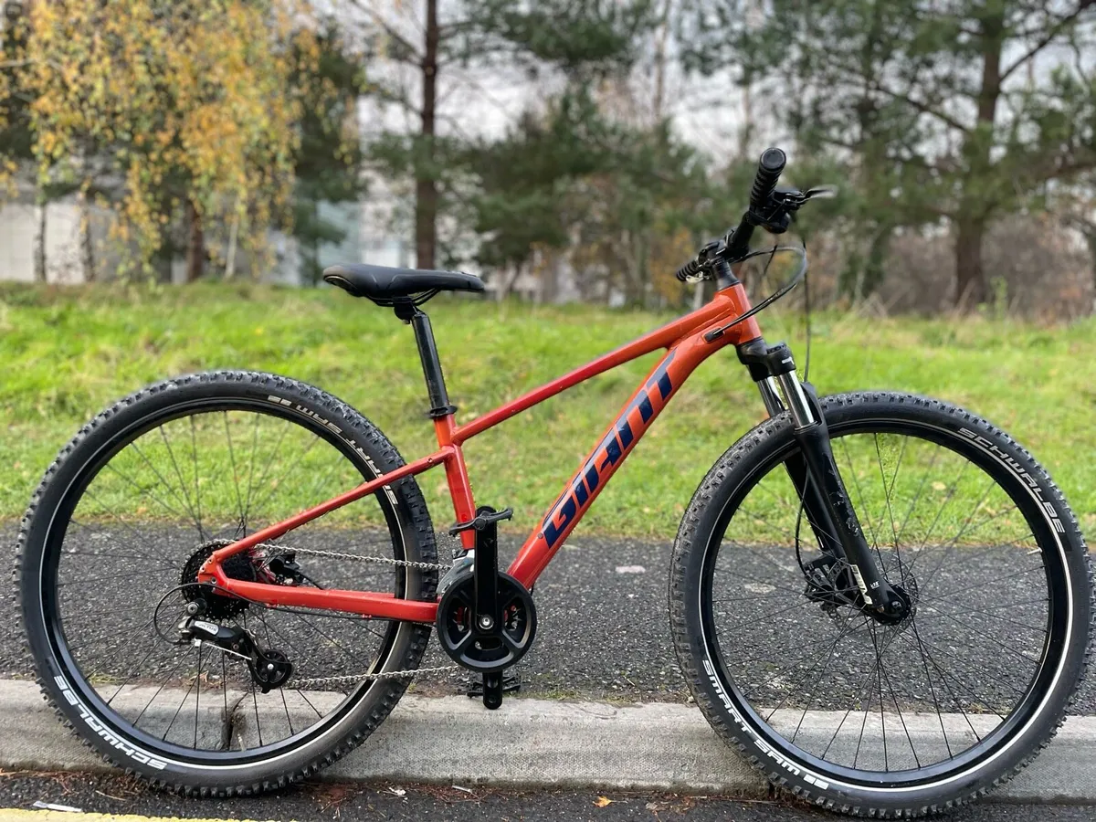 Mountain Bike (small) - Image 2