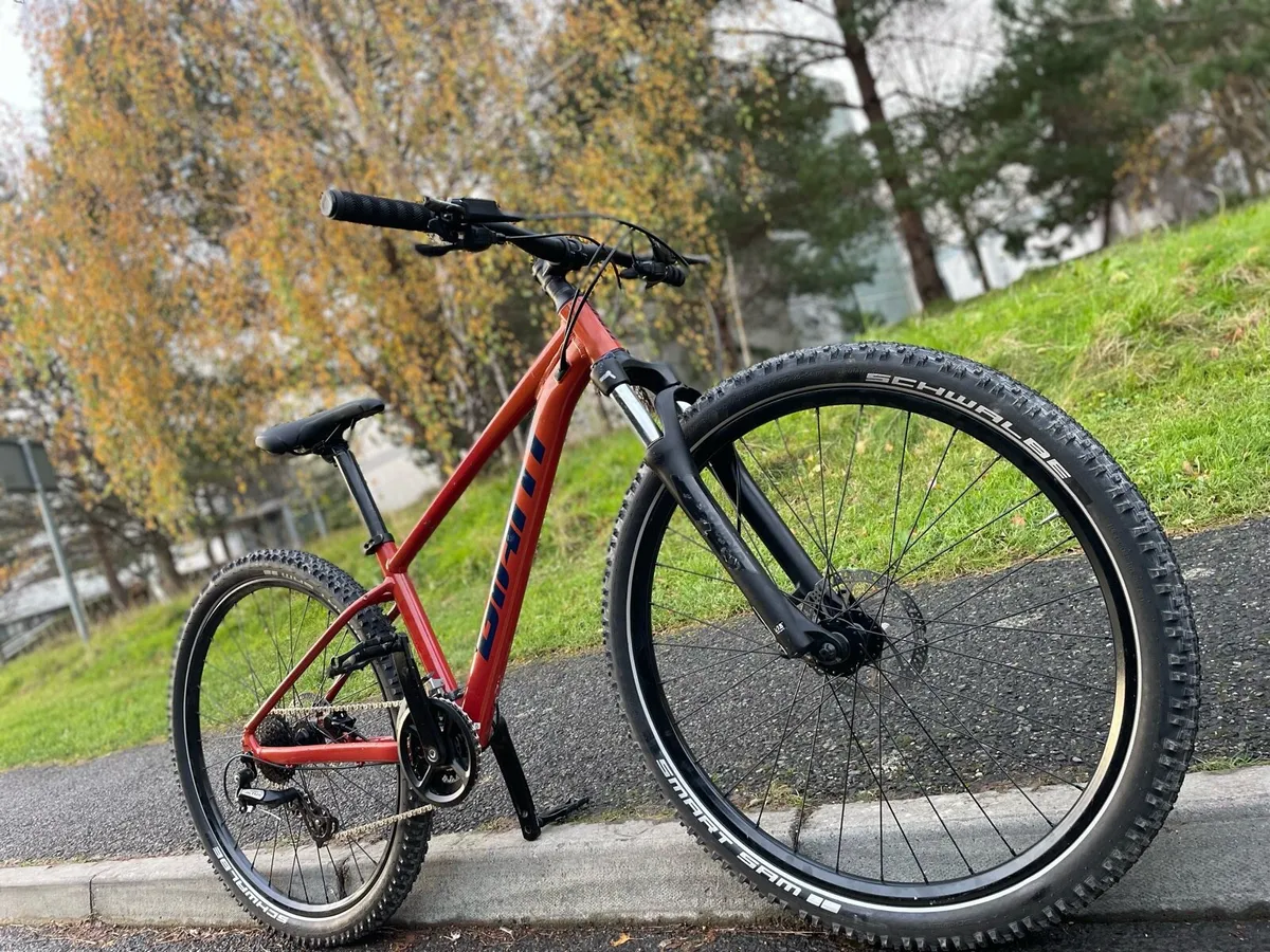 Mountain Bike (small) - Image 4