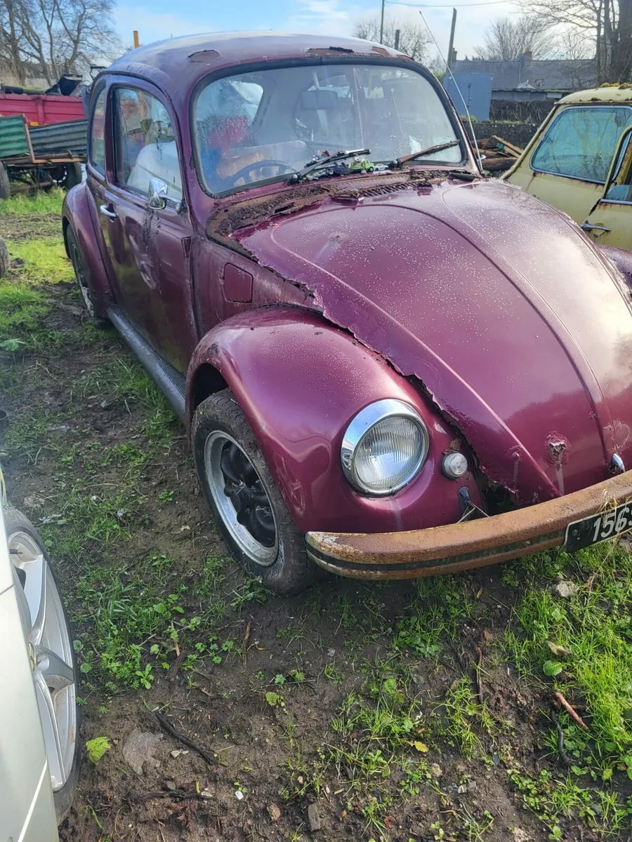 Field clear out all projects - Image 1