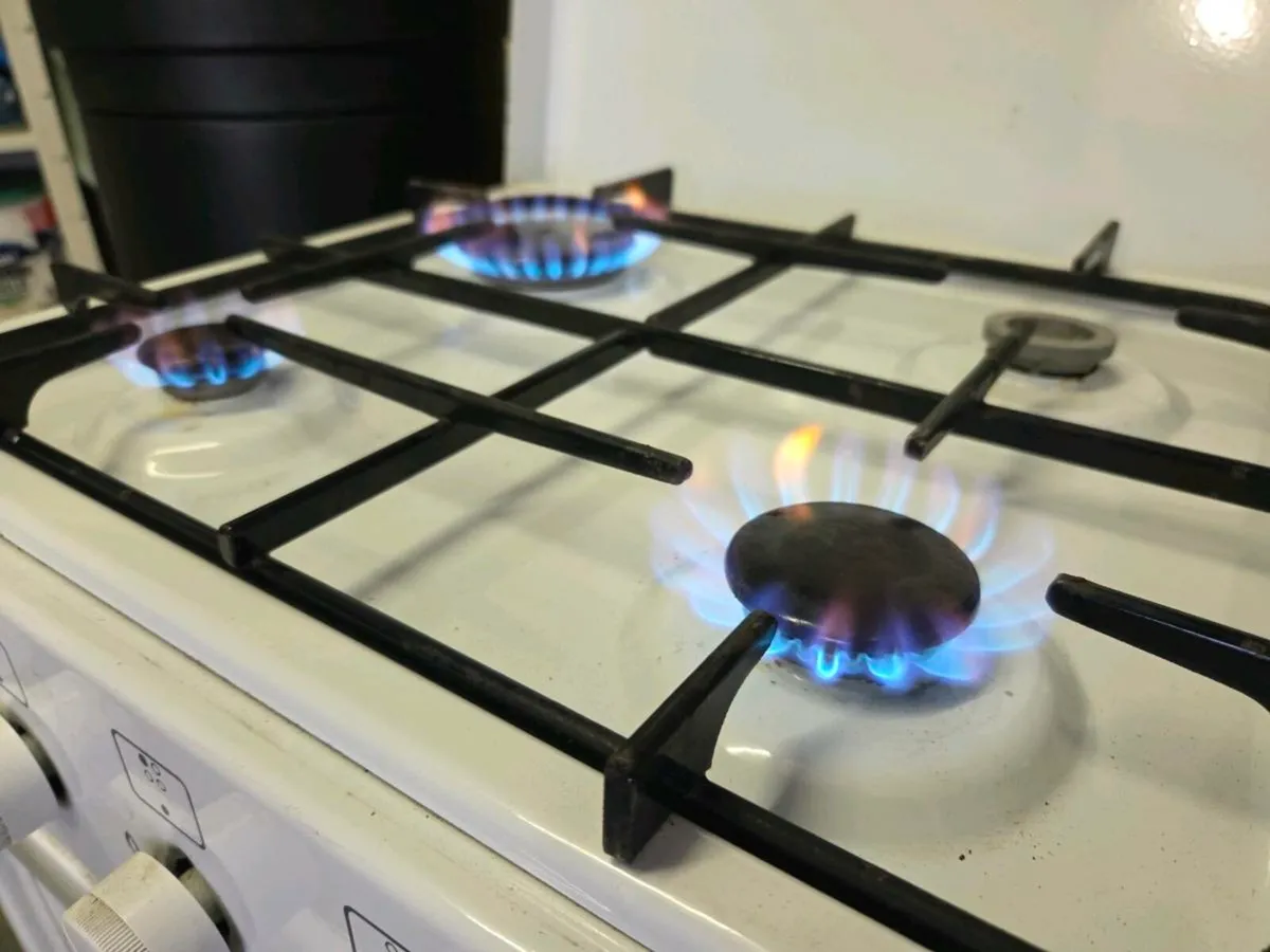 Gas Cooker with gas bottle - Image 1