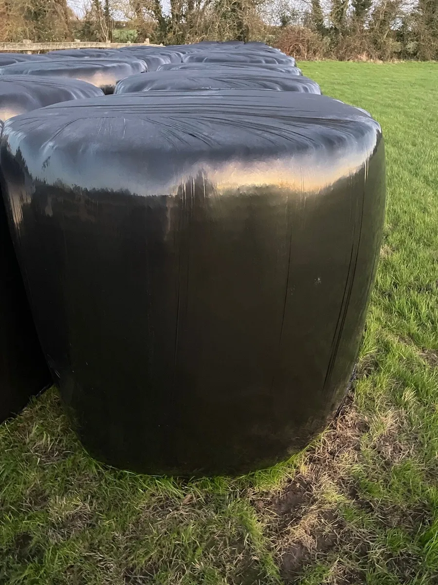 Silage Bales - Image 2