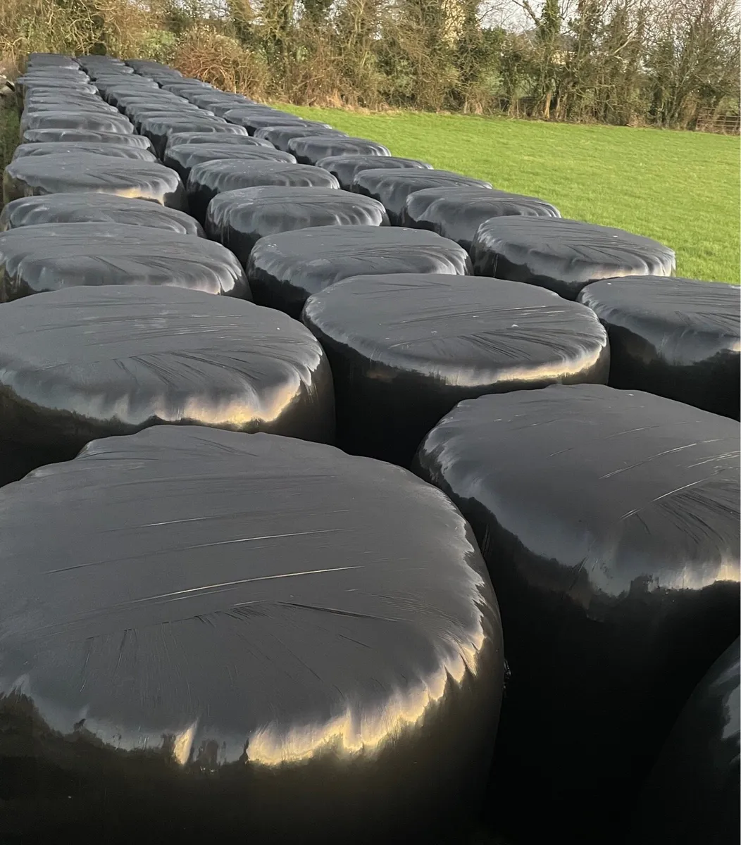 Silage Bales - Image 1