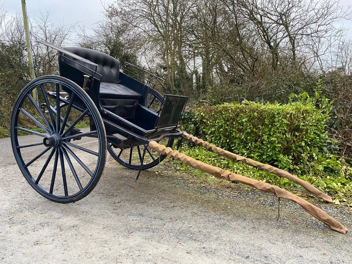 Beautiful horse cart - Image 1