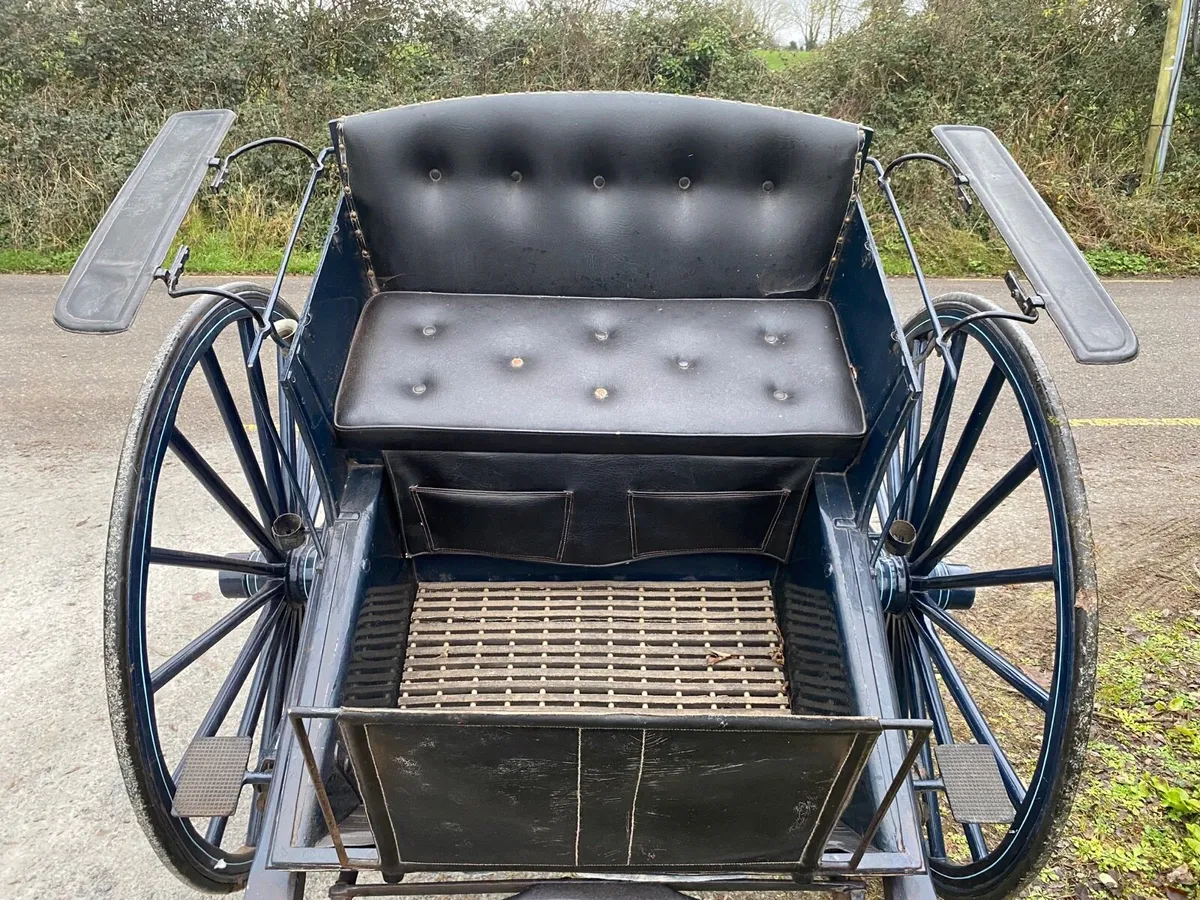 Beautiful horse cart - Image 2