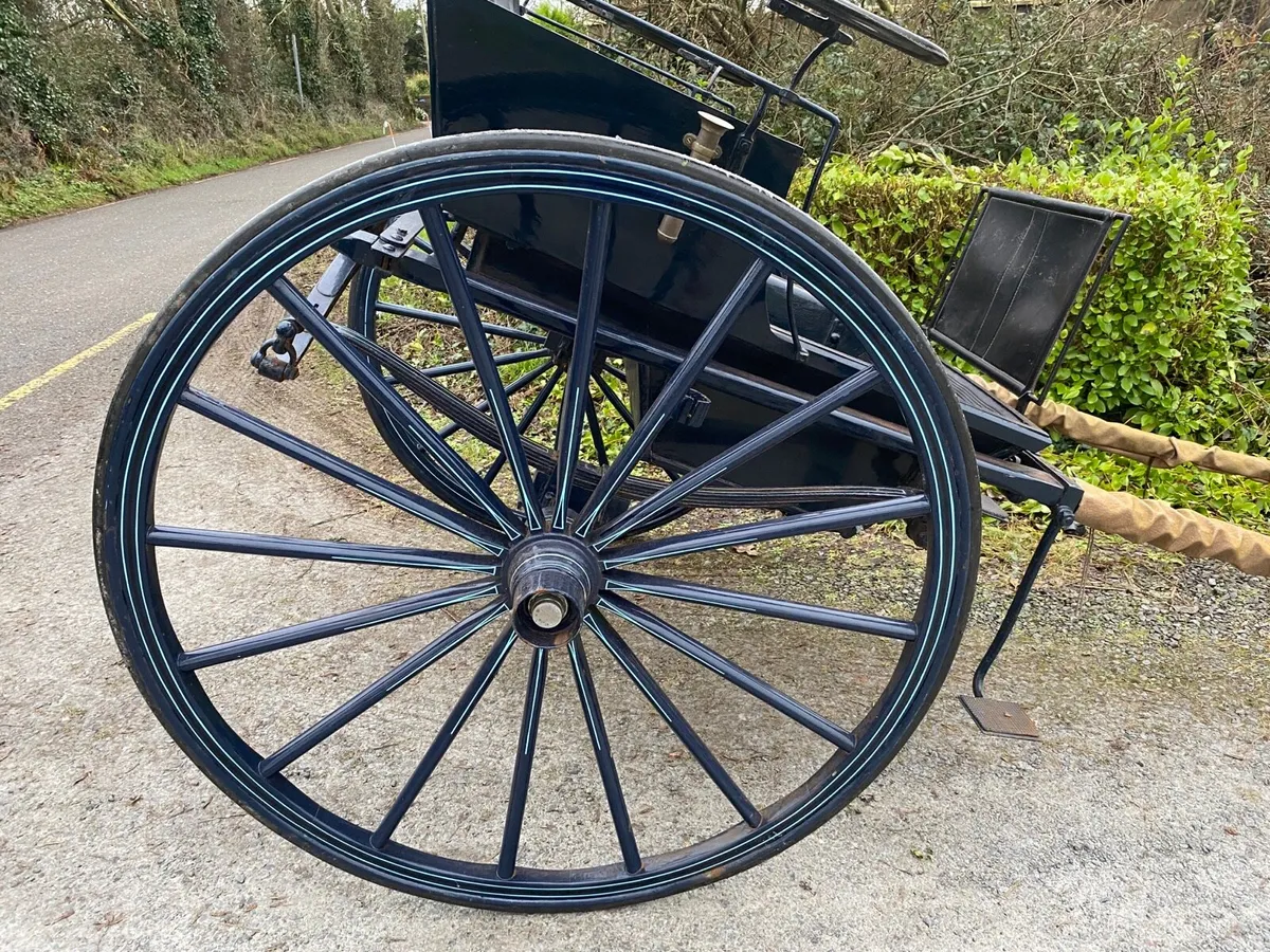 Beautiful horse cart - Image 4