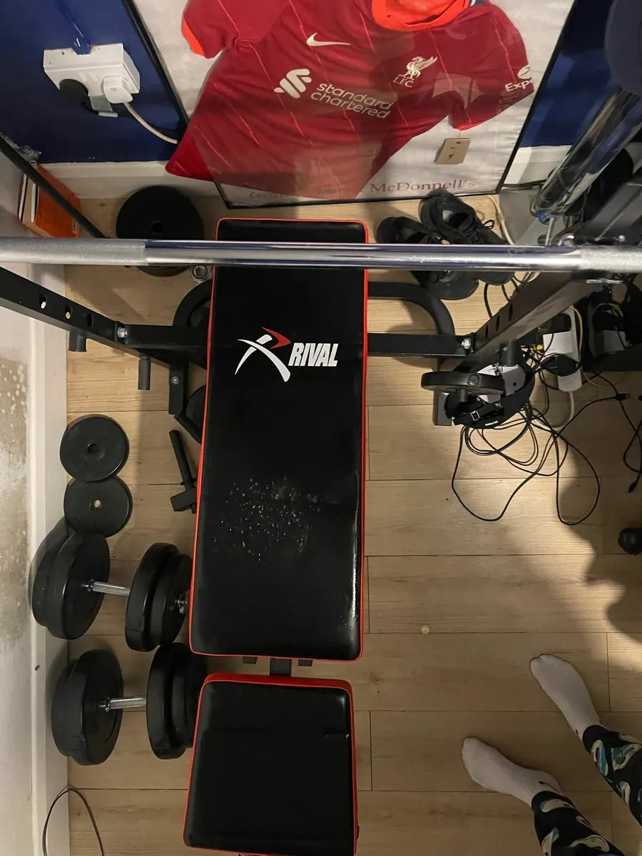 Weight bench and weights - Image 1