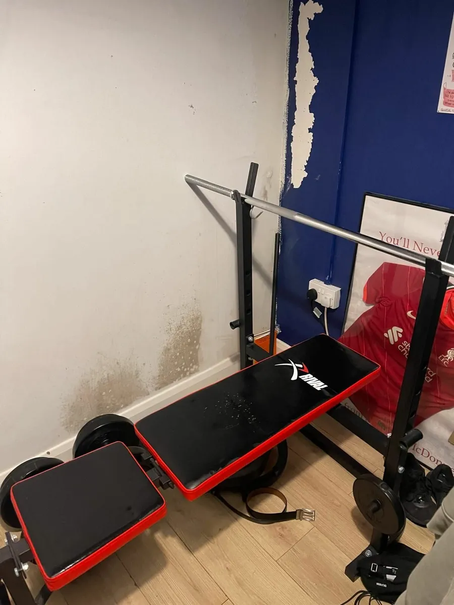 Weight bench and weights - Image 2