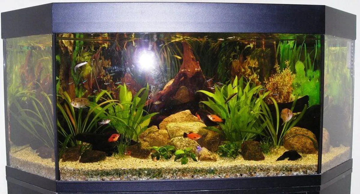 MINT 300L Aquarium w/accessories & original Cabinet - Image 1