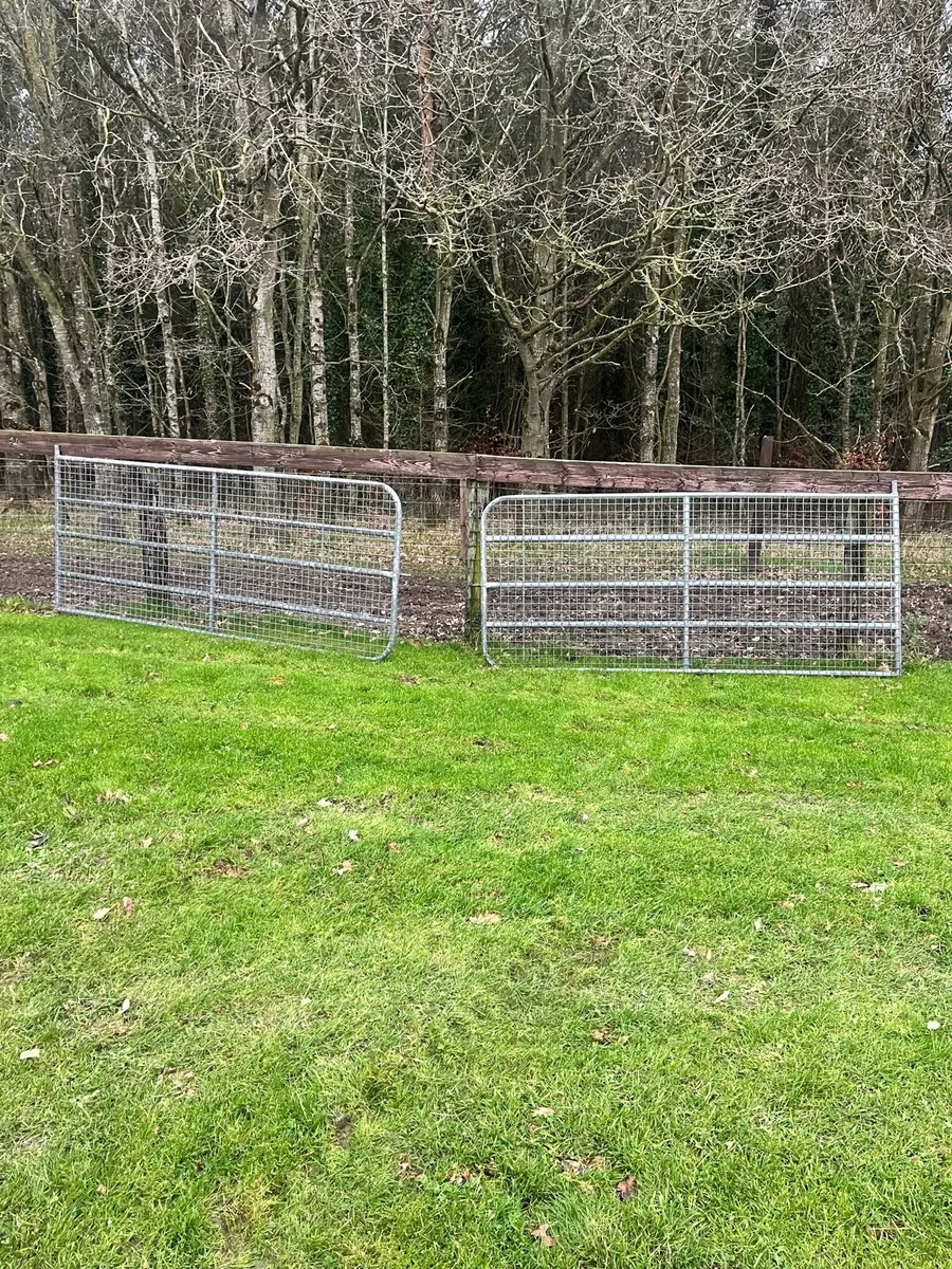 Mesh gates - Image 1